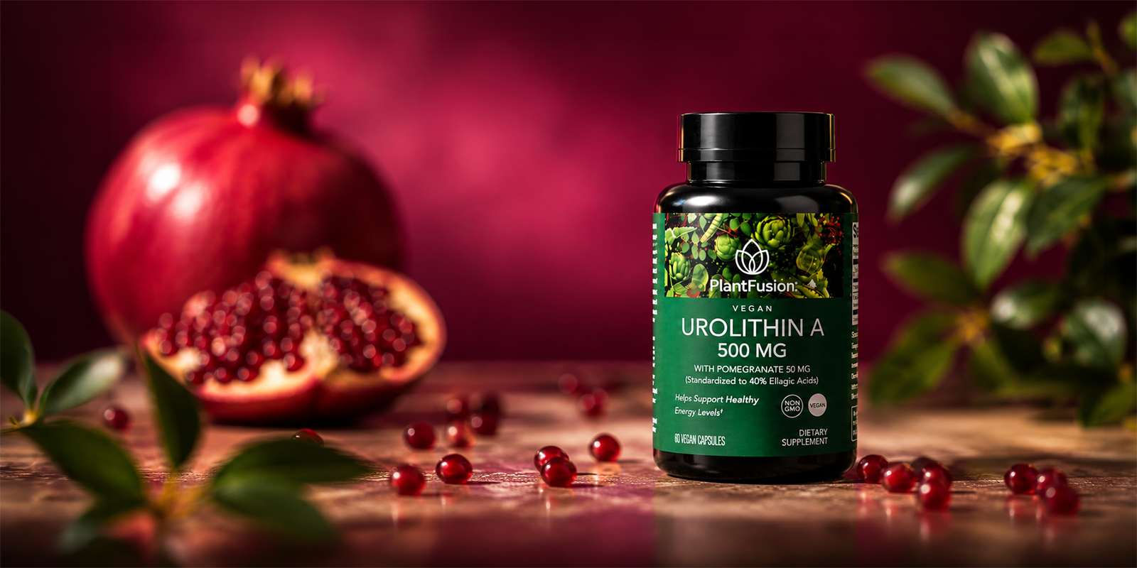 Urolithin A Supplement: What Is It and How Do I Know If It's Right For Me?