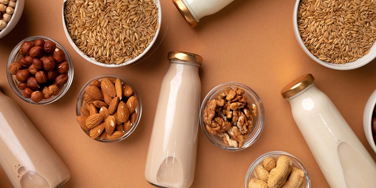 Plant Protein vs Animal Protein