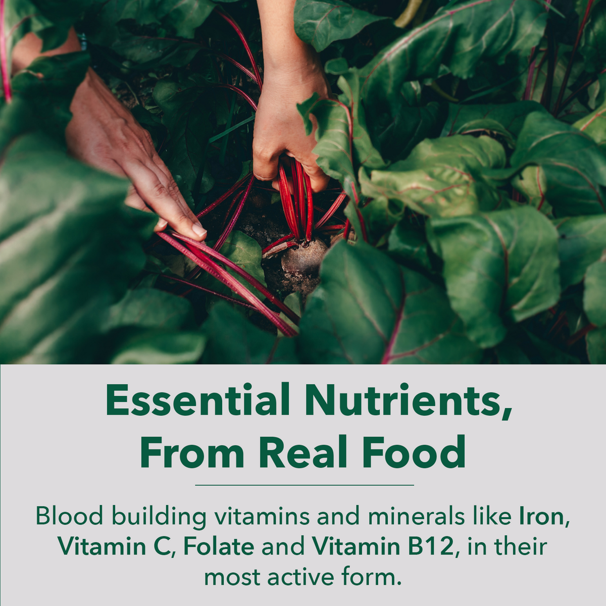 Vegan Wholefood Blood Support