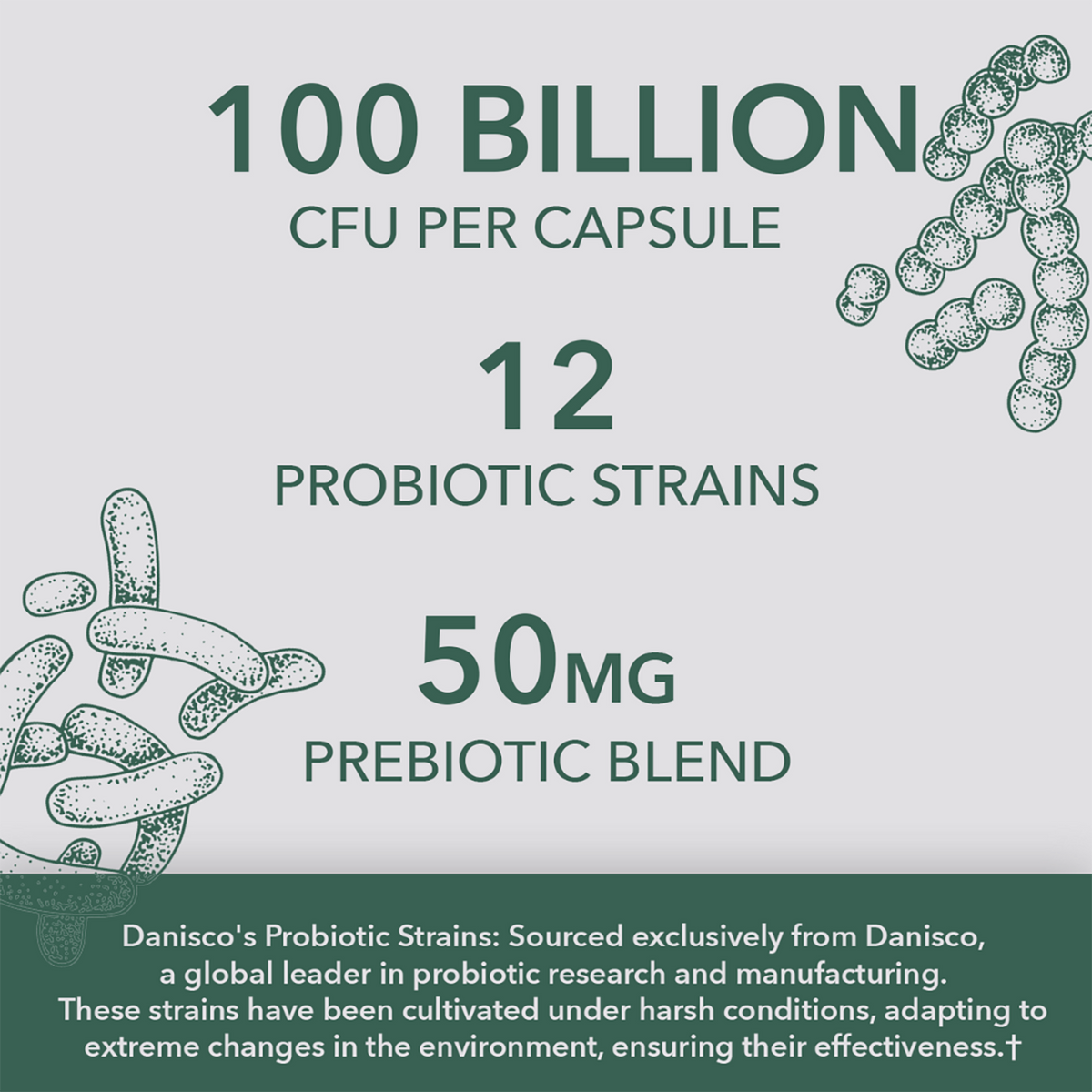 Vegan Probiotic - 100 Billion CFU, 12 Strains
