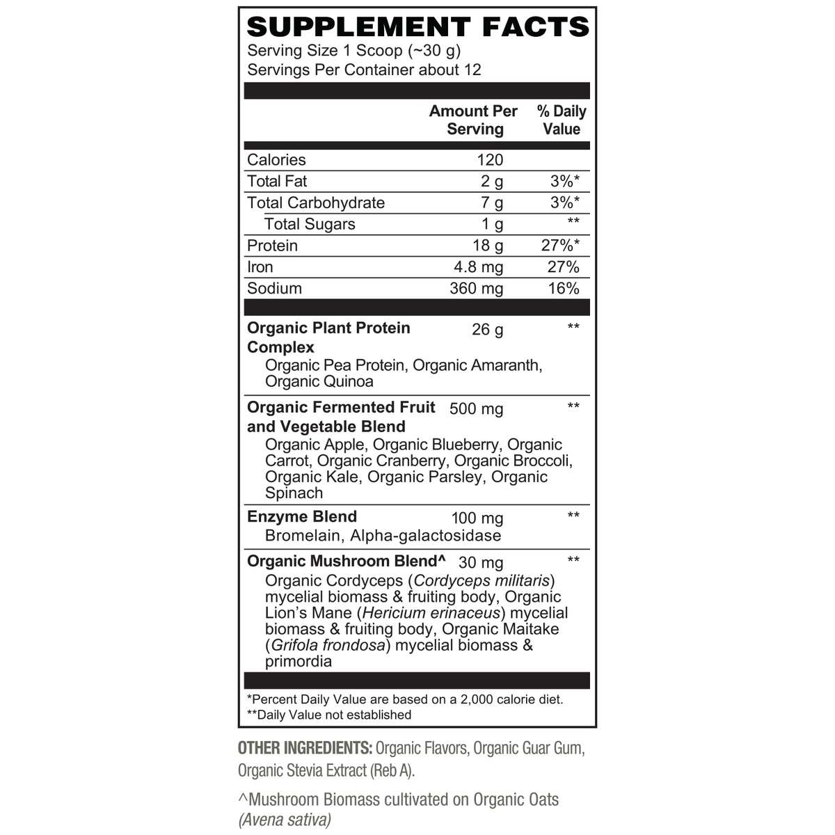 Organic Protein - Fermented Vegan Protein Powder