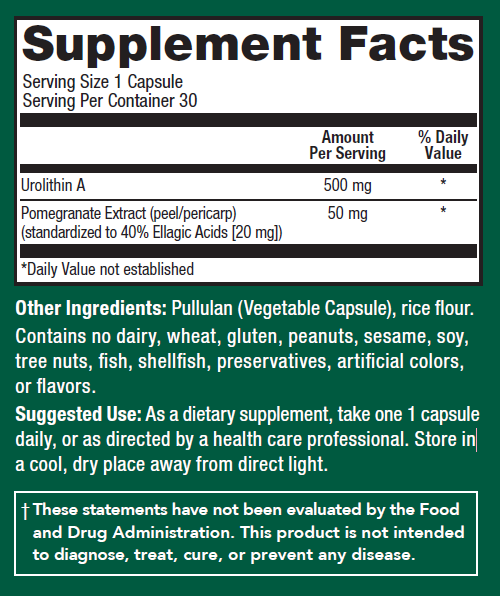 Urolithin A 500mg Supplement