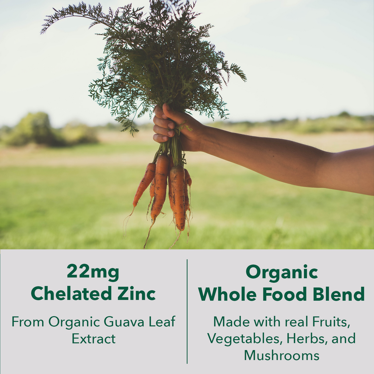 Vegan Wholefood Zinc Supplement