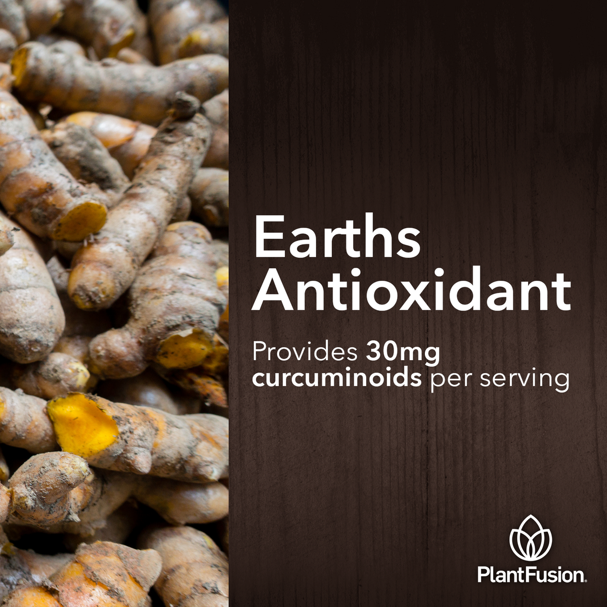 Turmeric & Ginger - Fermented Superfood Powder Blend