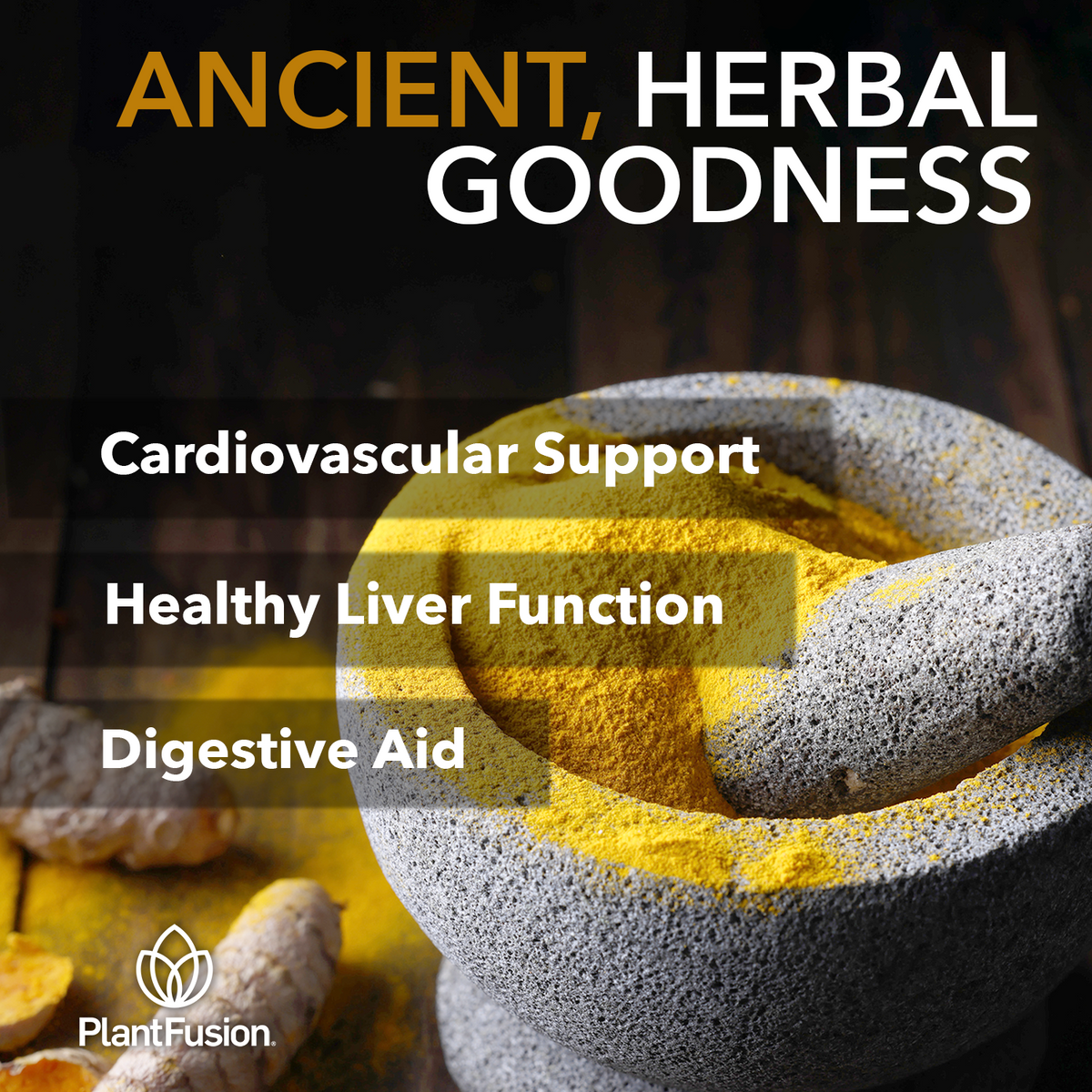 Turmeric & Ginger - Fermented Superfood Powder Blend