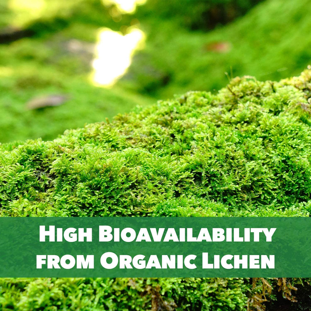 Vegan Organic Vitamin D3