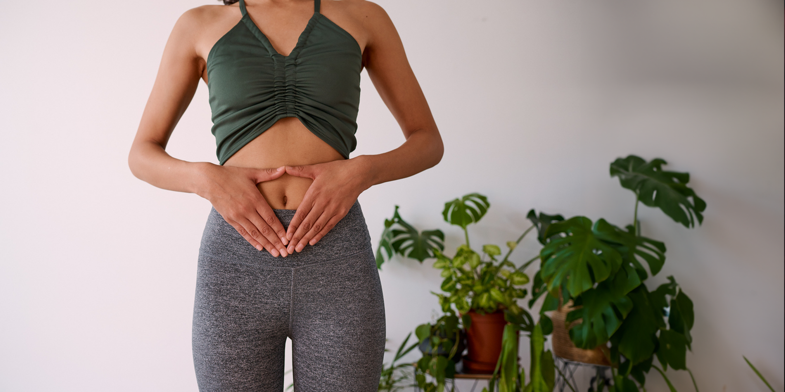 The Gut-Healthy Benefits of Clean Protein