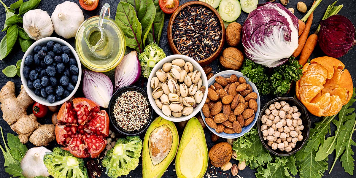 An Introduction to Plant-Based Protein