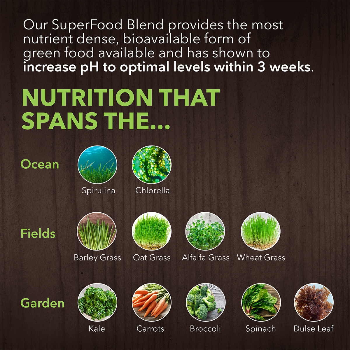 Alkalizing Greens - Fermented Superfood Powder Blend