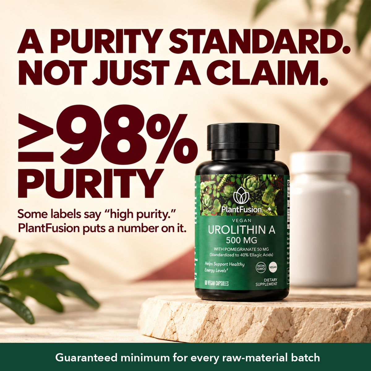 Urolithin A 500mg Supplement