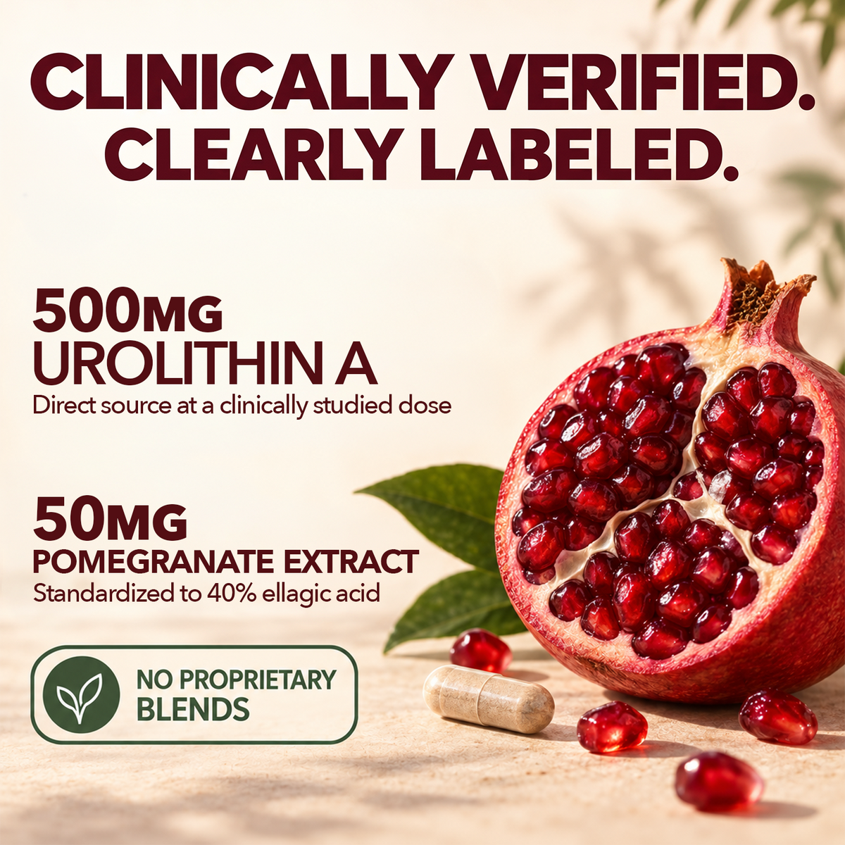 Urolithin A 500mg Supplement